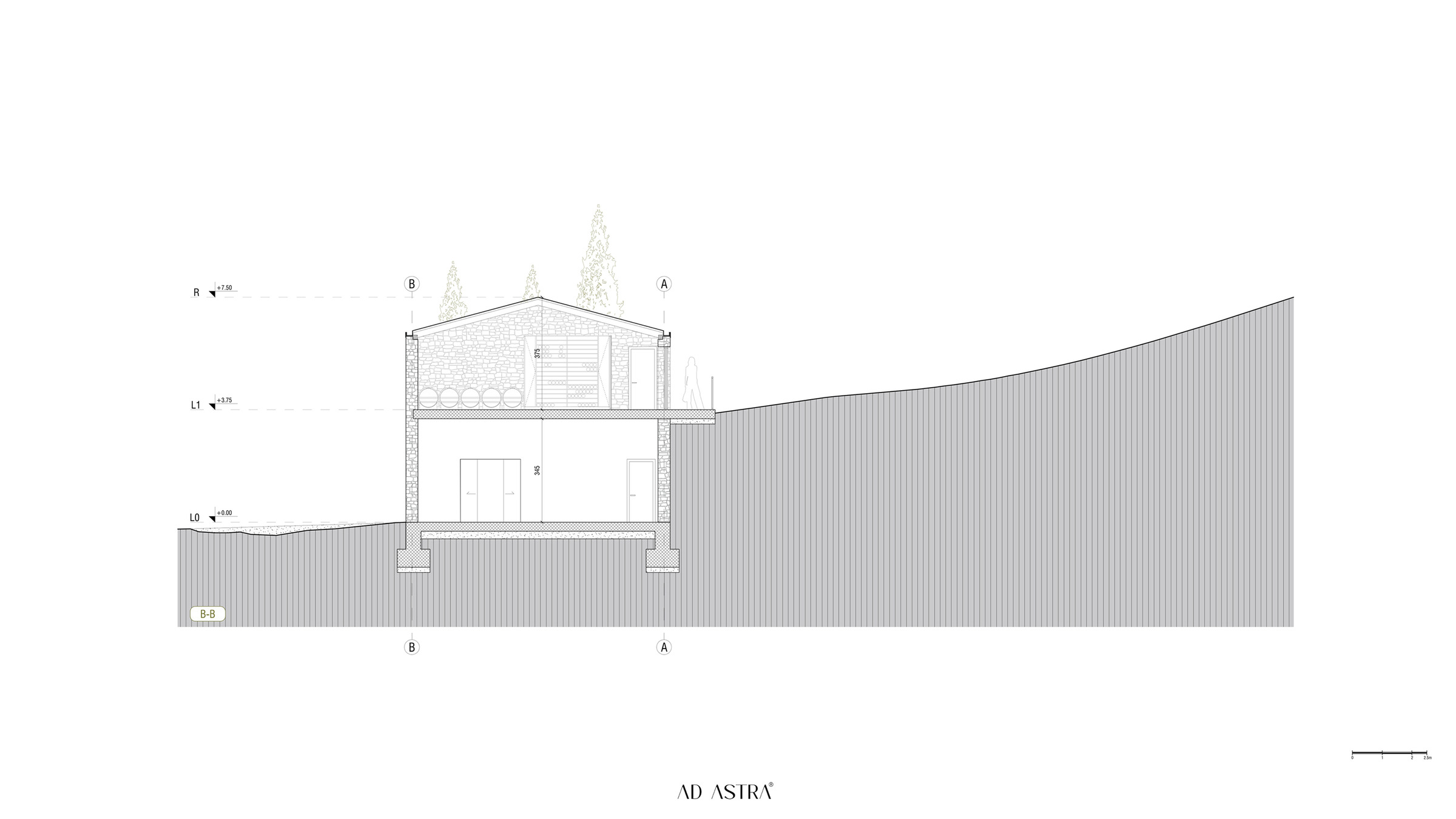 Live Divine, image 11